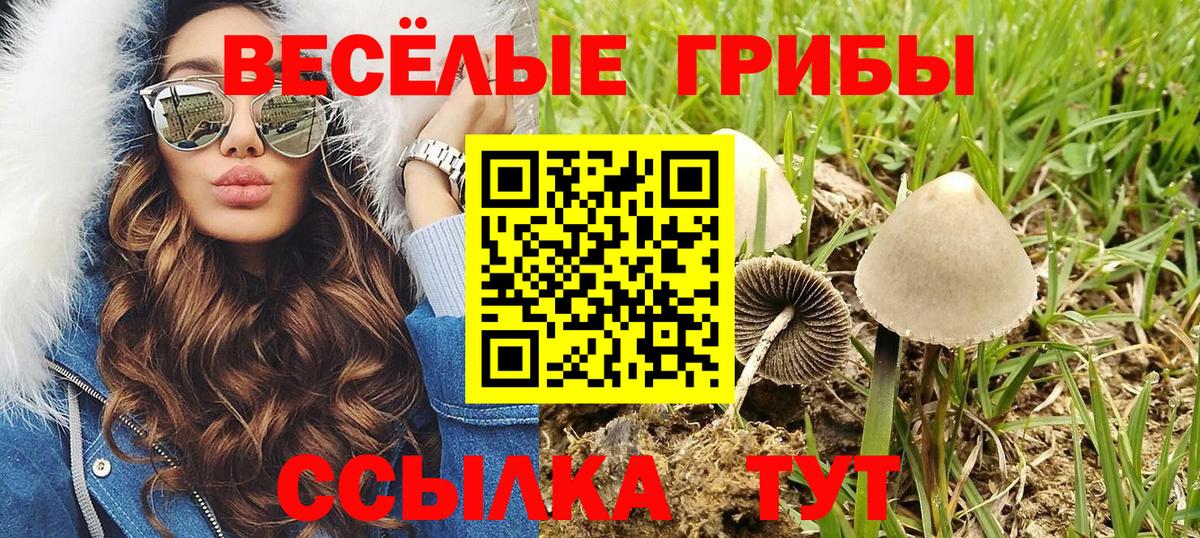 Ижевск  Псилоцибиновые грибы ЛСД  Вход с VPN 